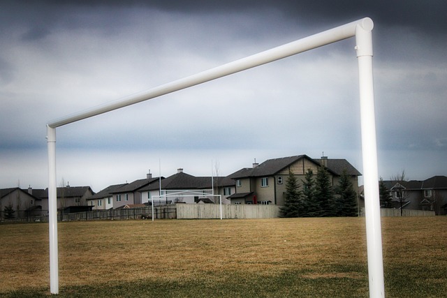 外部资金干 外部资金干