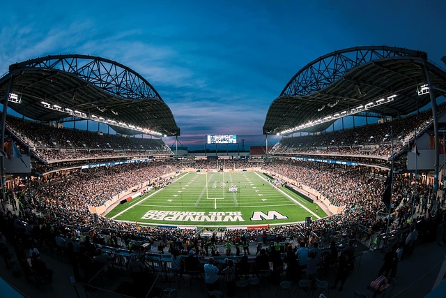 仅仅是一项 仅仅是一项