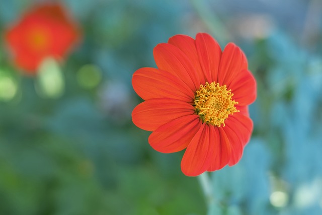 用特产与微 用特产与微