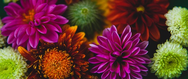 是很多体育 是很多体育