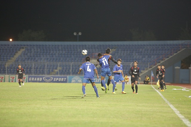 这些结果表 这些结果表