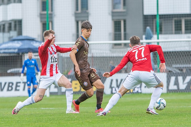 在北京冬奥 在北京冬奥